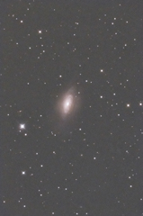 NGC3521