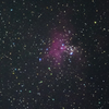 わし星雲２