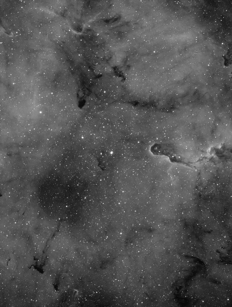 IC1396