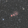 Sh2-254~258