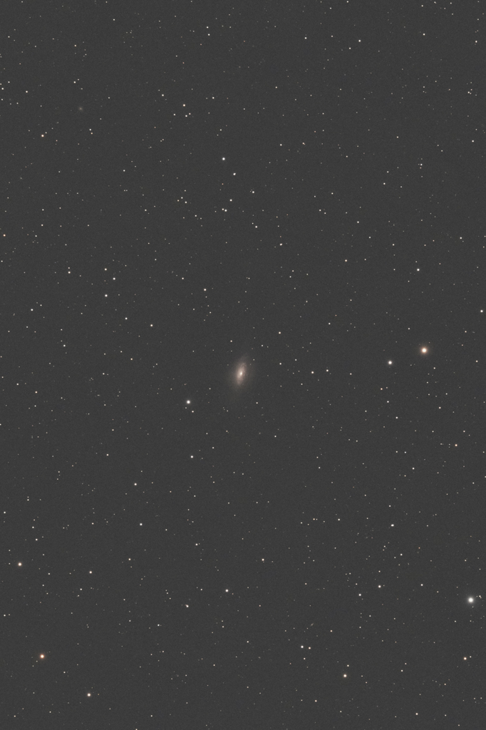 NGC3521