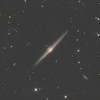 NGC4565