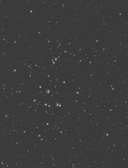 プレセペ星団