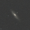 M31