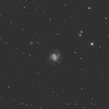 M61