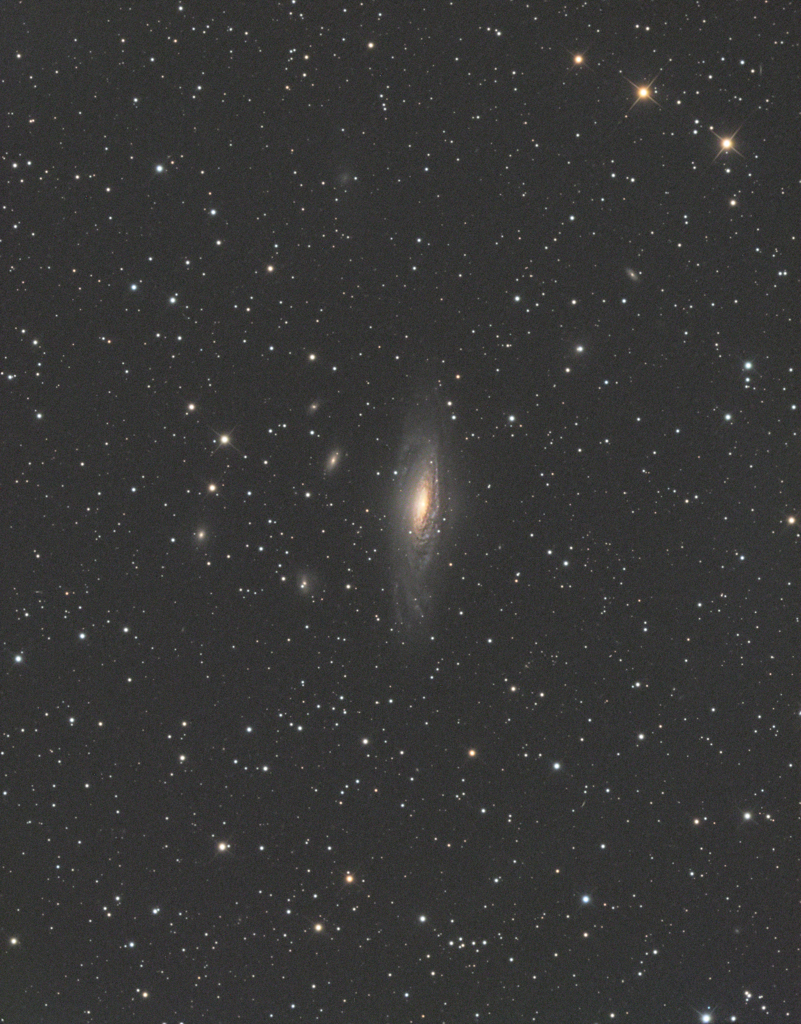 NGC7331
