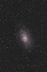 M33