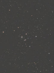 HCG44_カラー版