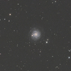 NGC3344