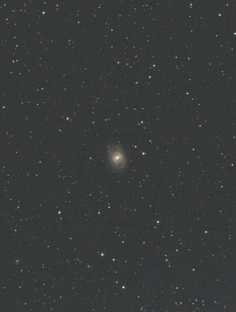 M95