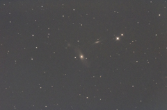 NGC5566