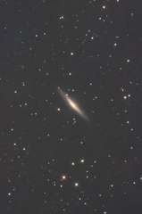 やまねこ座の銀河（NGC2683)