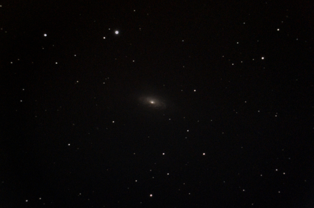 NGC3521