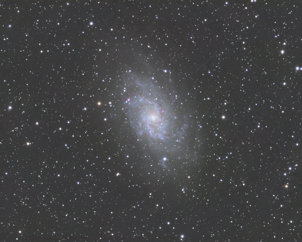 M33