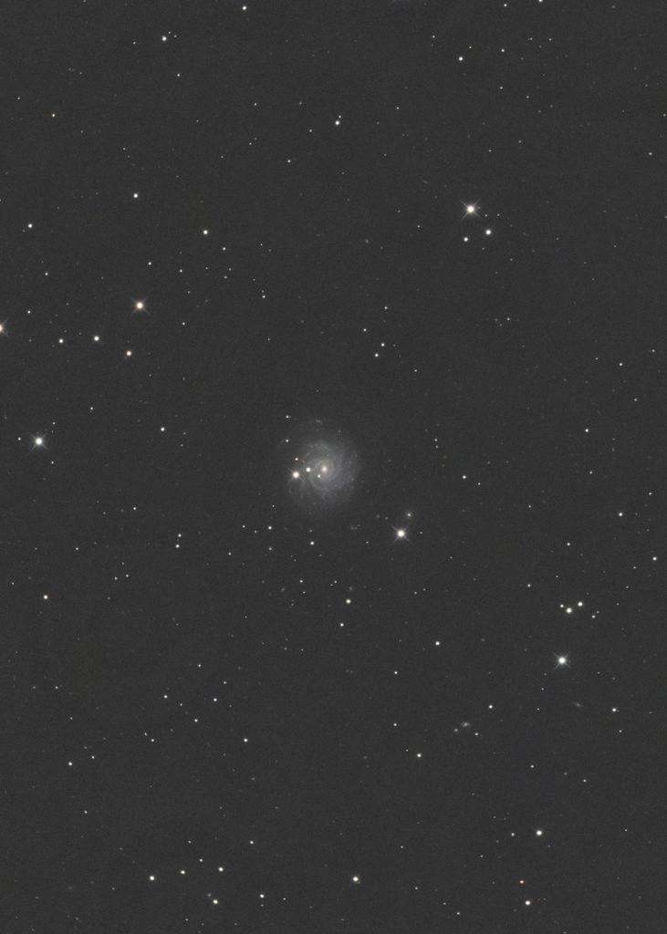 NGC3344