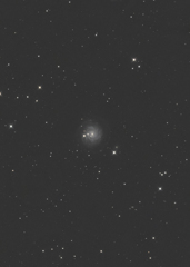 NGC3344