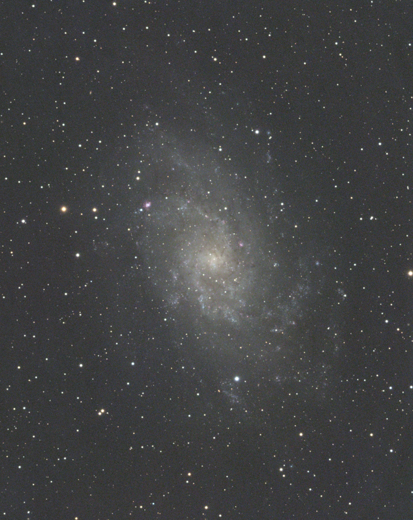 M33