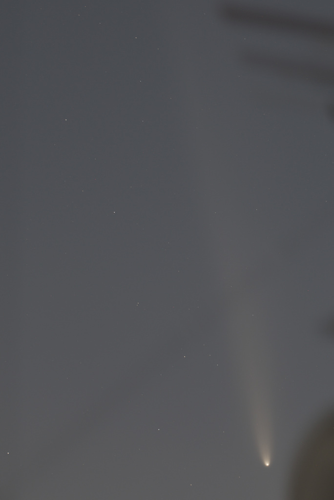 紫金山・アトラス彗星