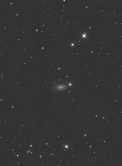 NGC3338
