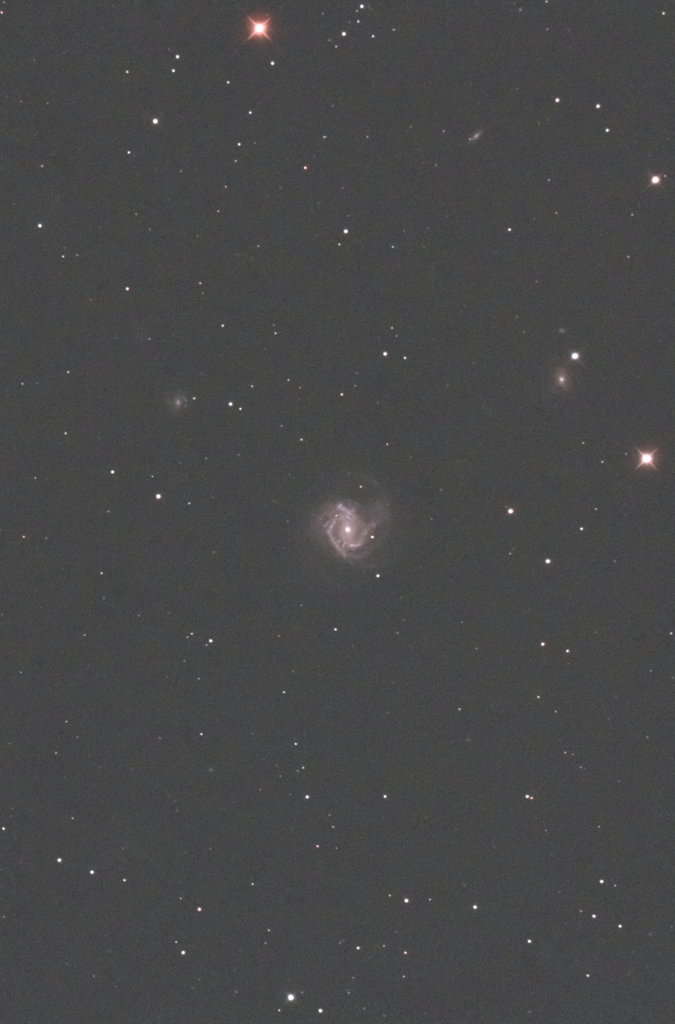 M61