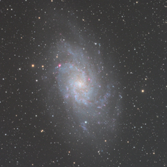 M33