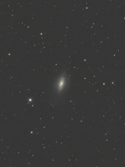NGC3521