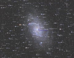 M33内部と近傍
