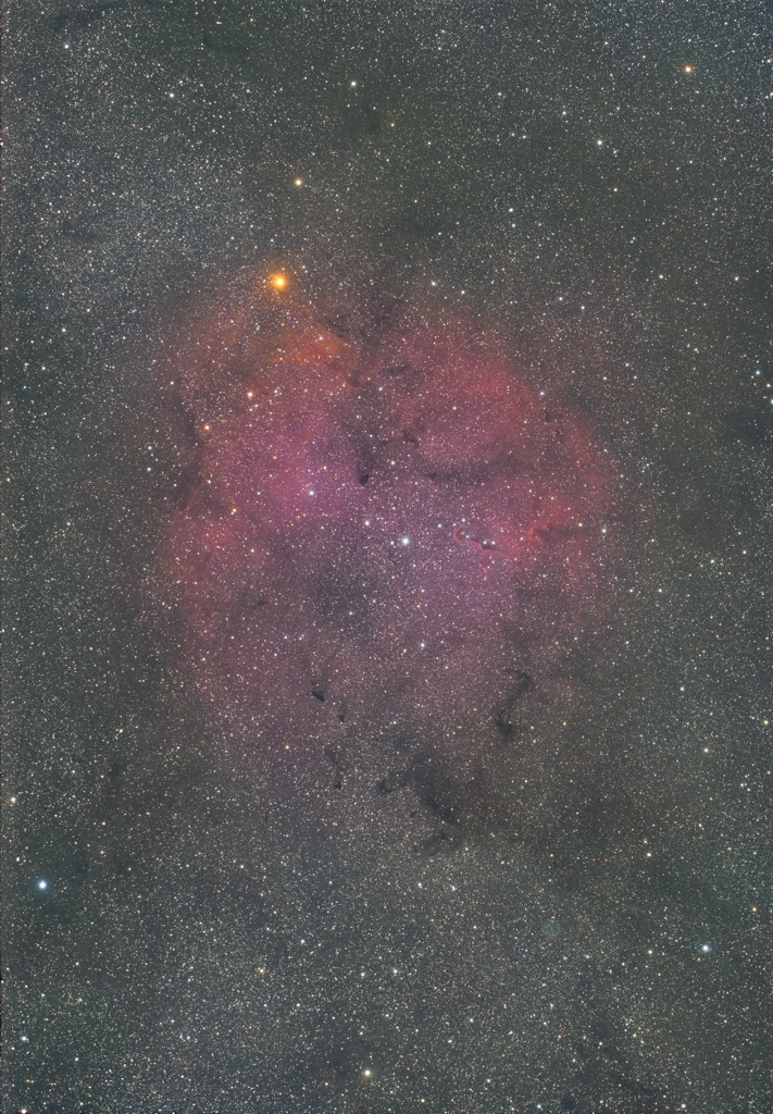 IC1396