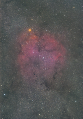 IC1396