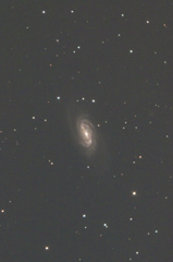 NGC2903