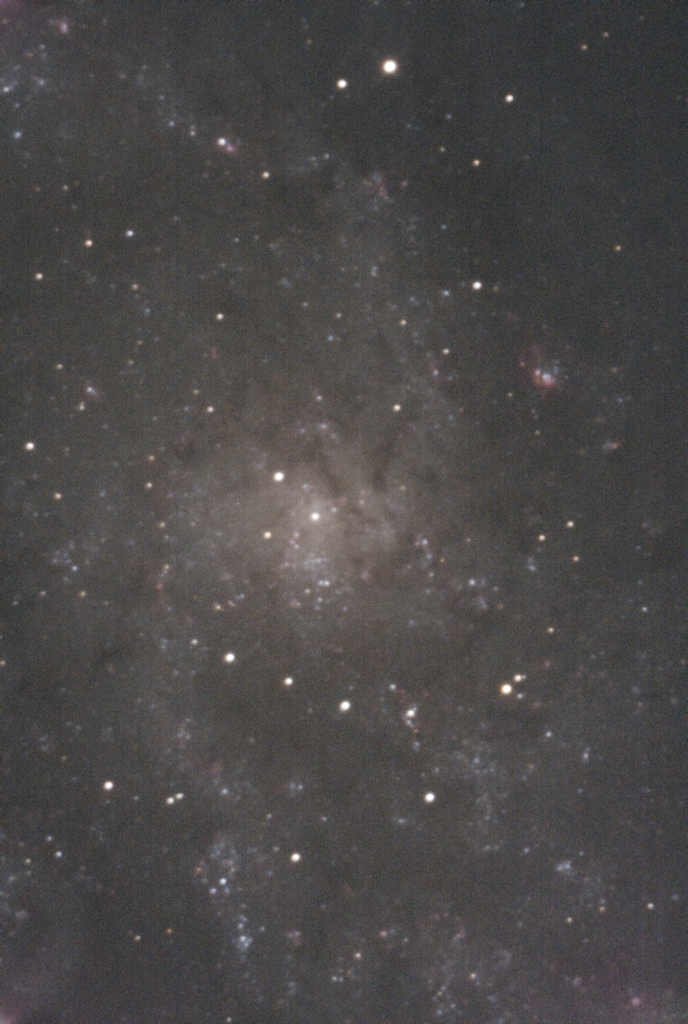 M33