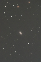 NGC1084