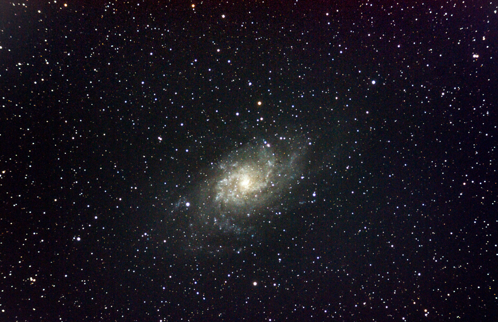 M33