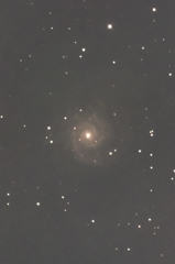 M74