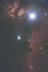 馬頭星雲周辺