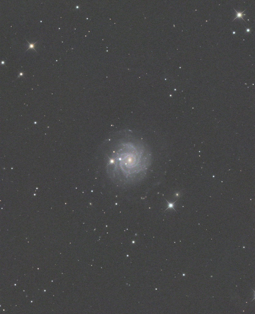 NGC3344