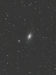 NGC3521