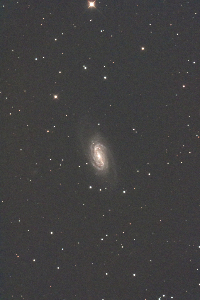 しし座の銀河（NGC2903)