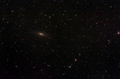 NGC7331