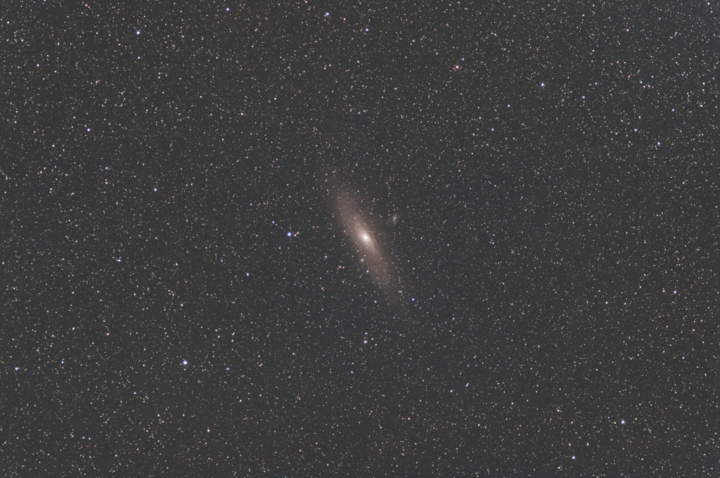 M31