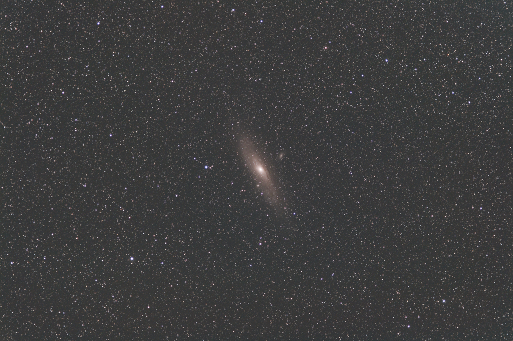 M31