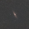 M31