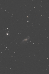 NGC4536