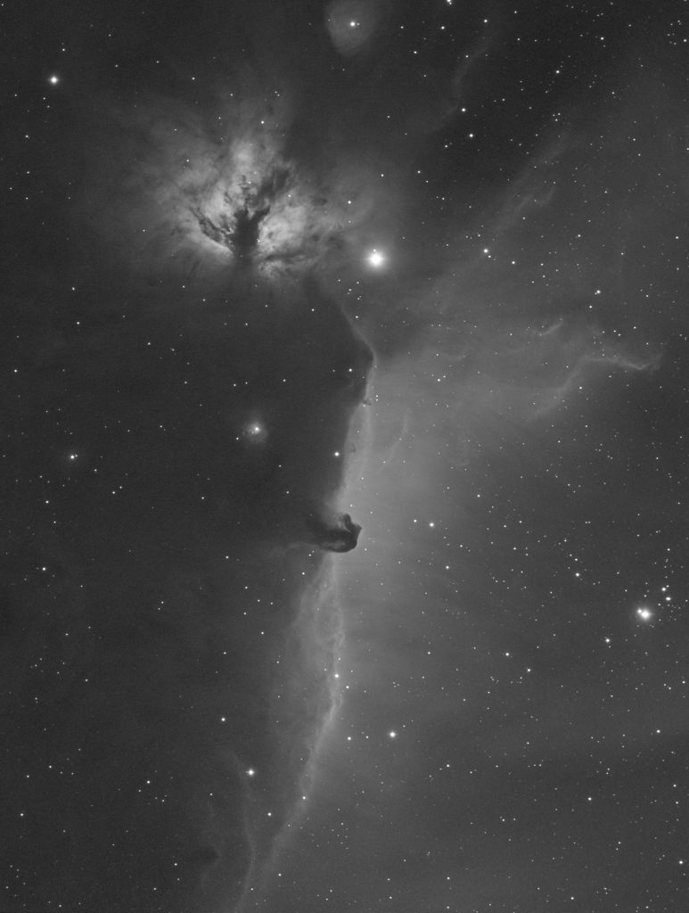 馬頭星雲