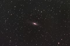 NGC7331