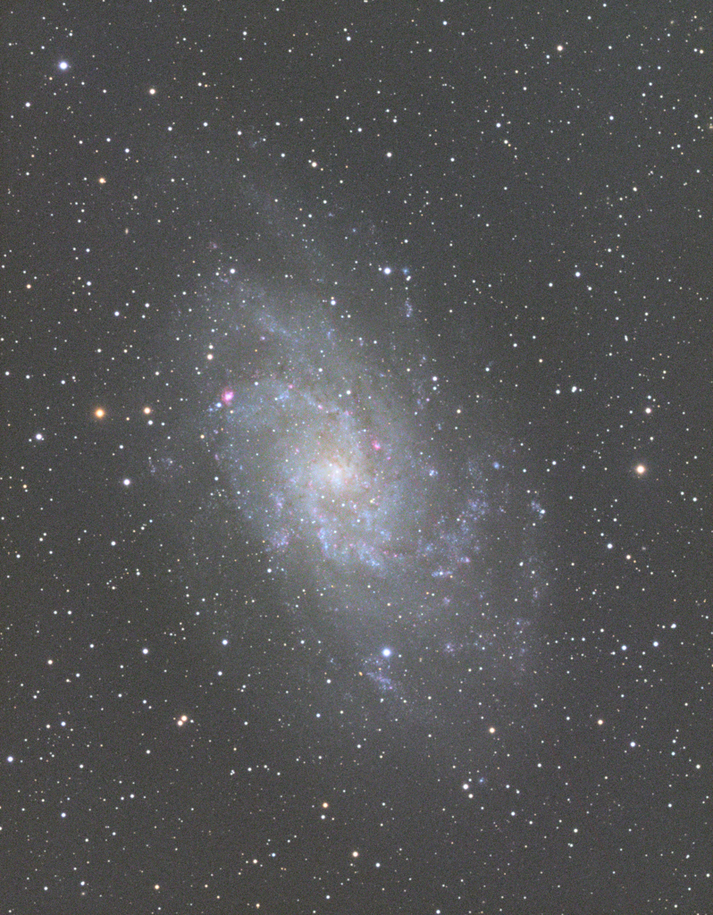 M33