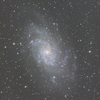 M33