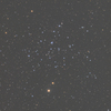 NGC1647