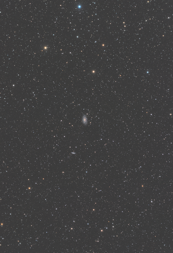 NGC2336