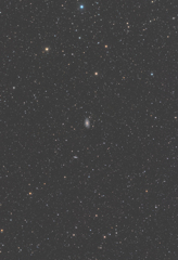 NGC2336